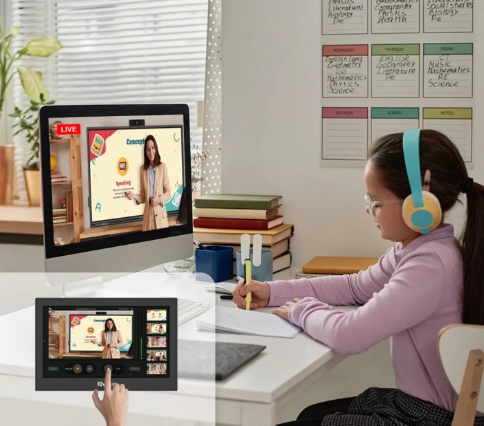 Transformative Collaborative Learning: Navigating Online Platforms - Q-NEX