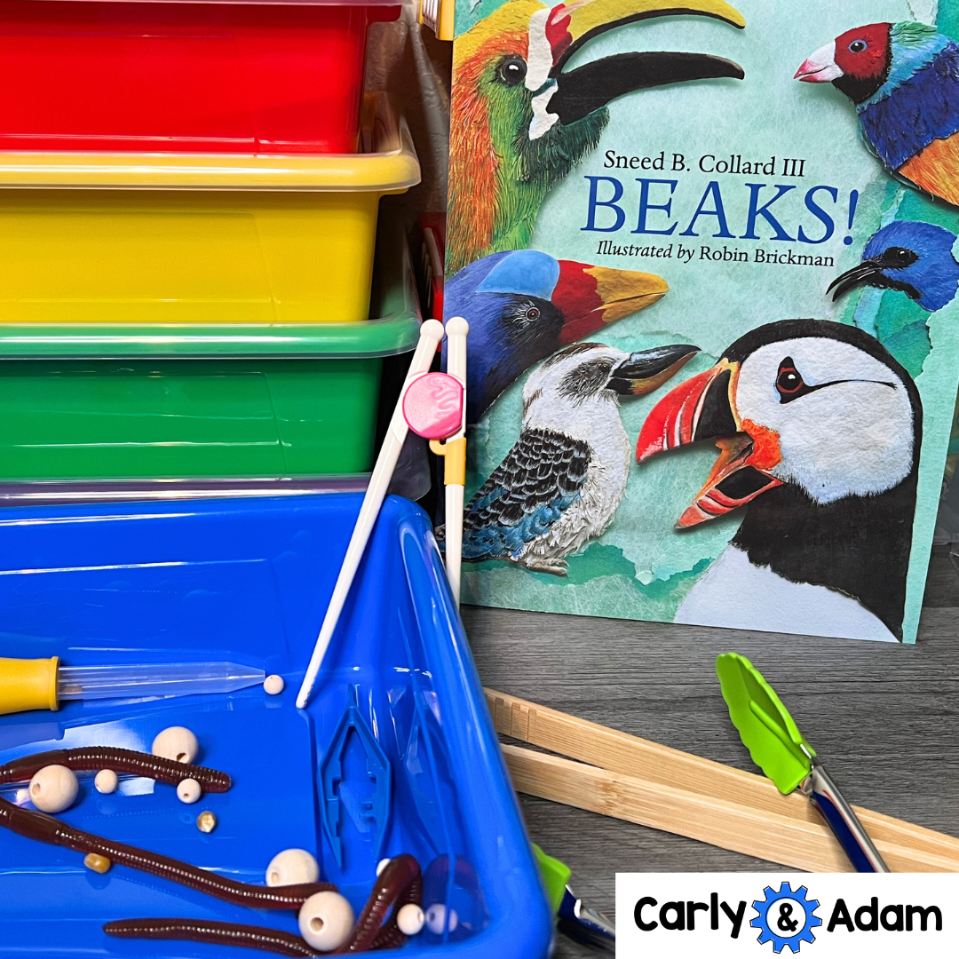 The Ultimate Elementary STEM Curriculum — Carly and Adam